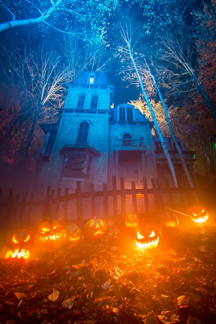 Antología 31 Horrores III: 11.&nbsp;Calabazas