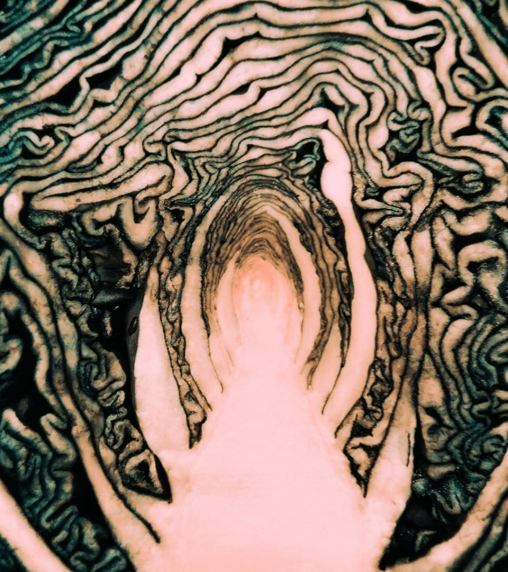 Antología 31 Horrores IV: 5. El tercer&nbsp;camino