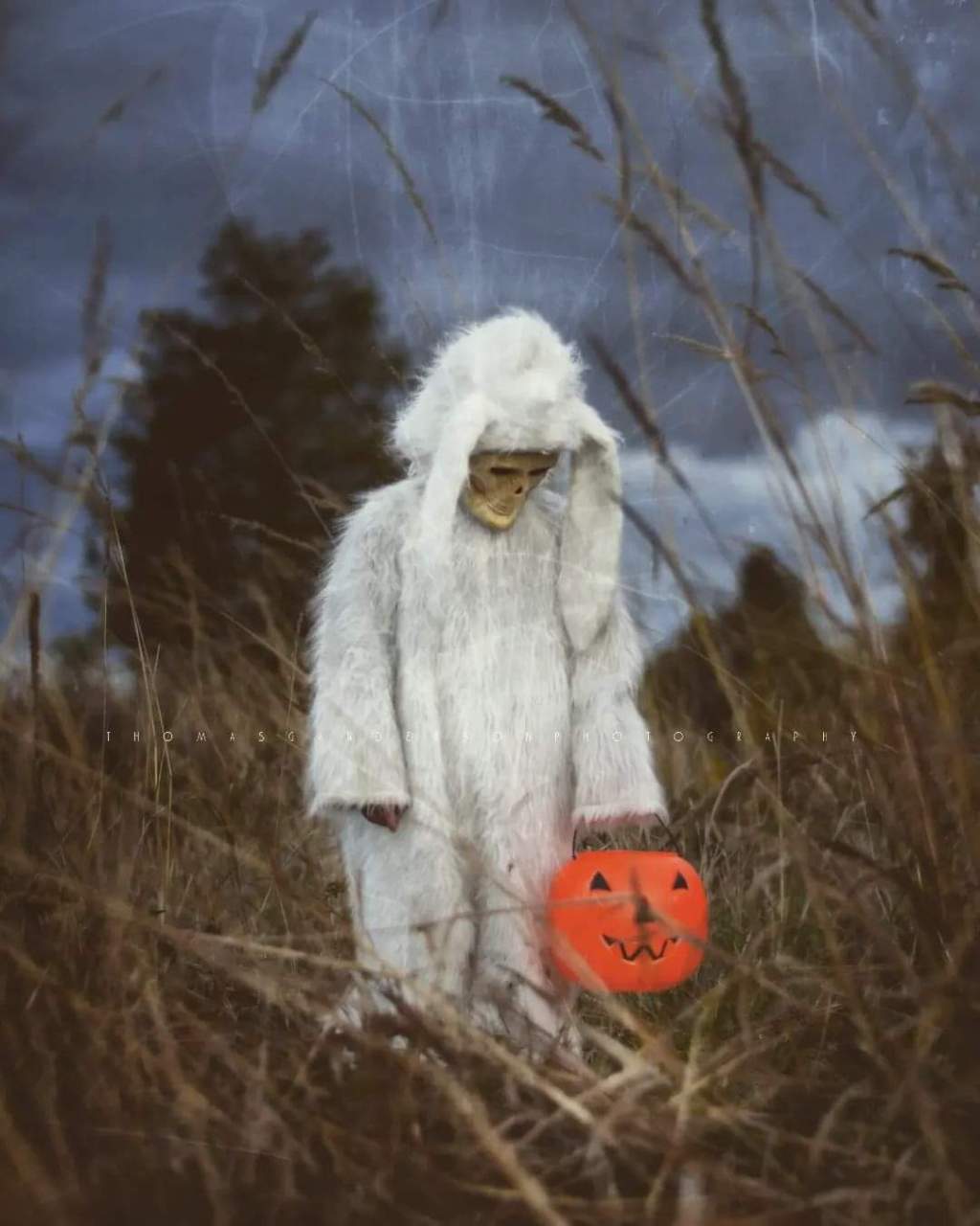 31 Horrores vol. 5: 20. El&nbsp;bully