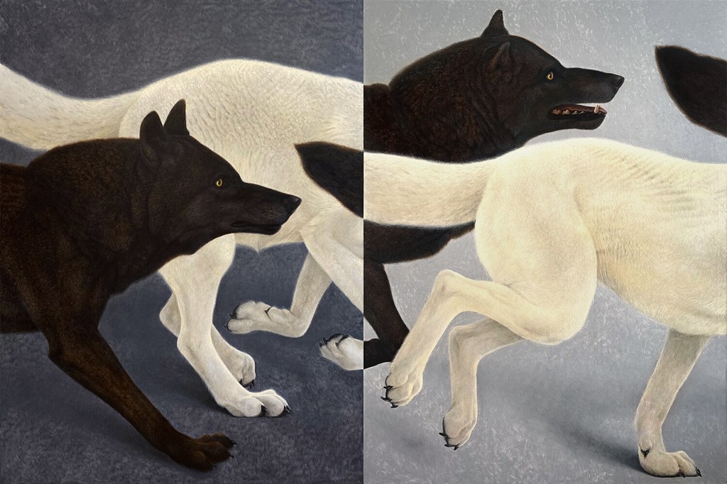 31 Horrores vol. 5: 9. Lobo&nbsp;lobo