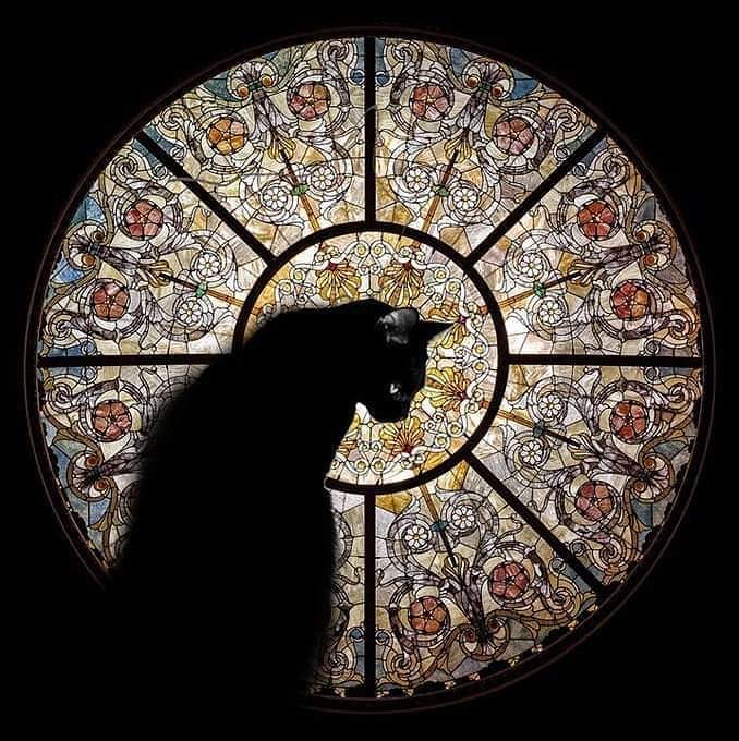 31 Horrores 6: XVIII.&nbsp;Amok