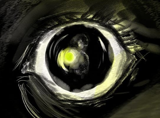 31 Horrores VII – 9. El&nbsp;farol