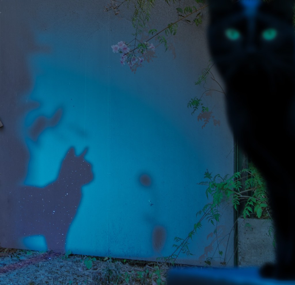 31 Horrores VII – 21. Ciudad&nbsp;Felina